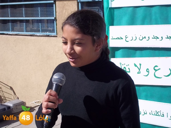 treesnewzahra2 (20).jpg